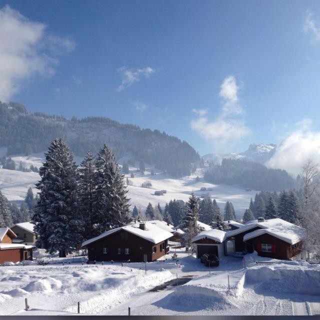 Appartement Alpenblick Loft Neben Skilift In Arvenbueel *
