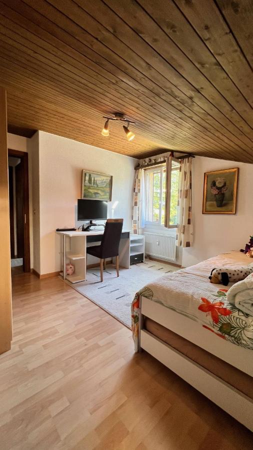 Alpenblick Loft Neben Skilift In Arvenbueel *